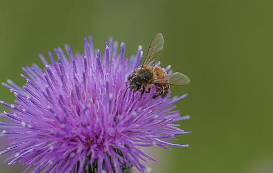Fulfilling Our Commitment at Arlington Landfill