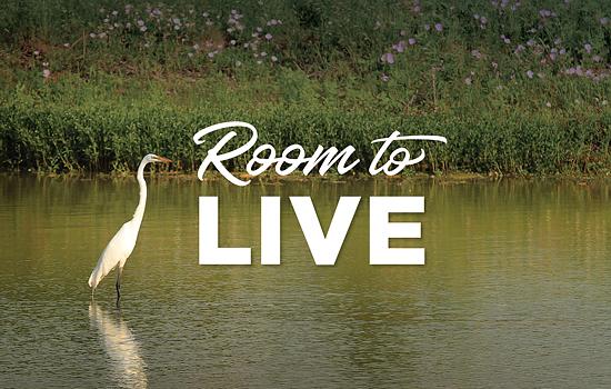 Room to Live: Making Way for Wildlife