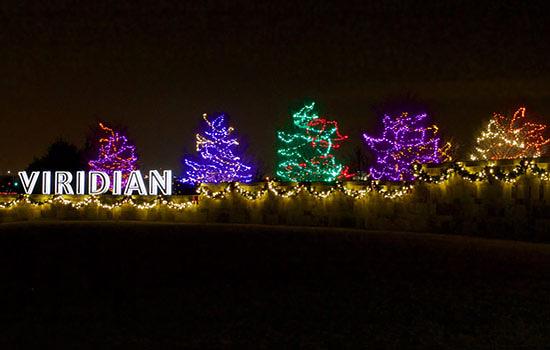 True Winter Fun at Viridian!