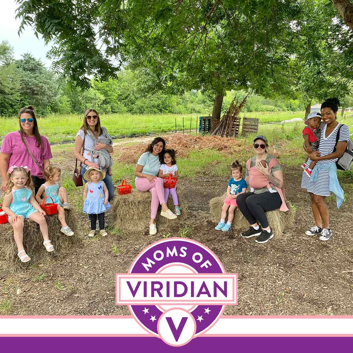 Moms of Viridian gather in the park with their children.