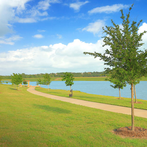 New home community in Arlington, TX, puts you near trails.